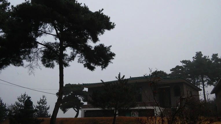 25491D43582F88121DF94C