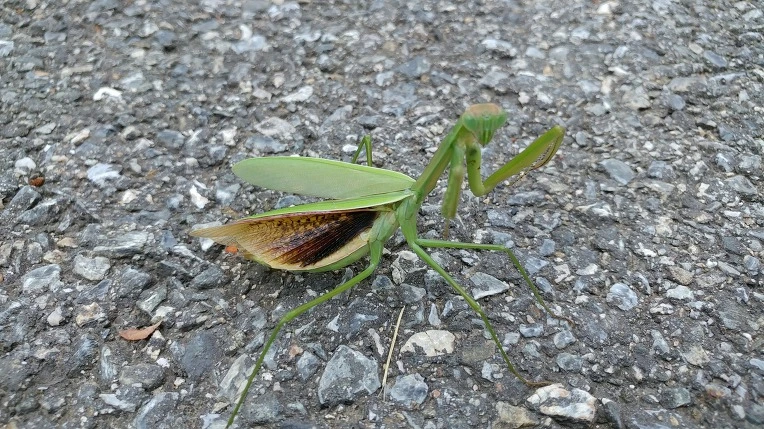 998FBB375B7CC12228F759