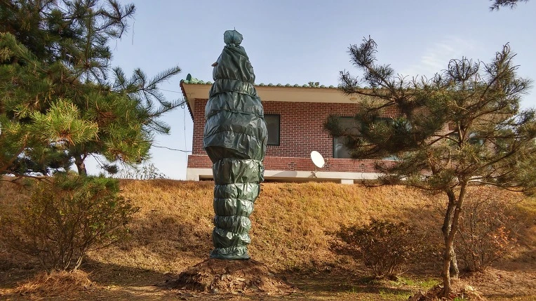 213C663B5827CF3F067220