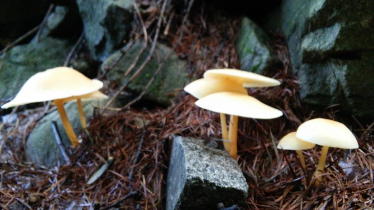 240B9F4856987CC202A8FA