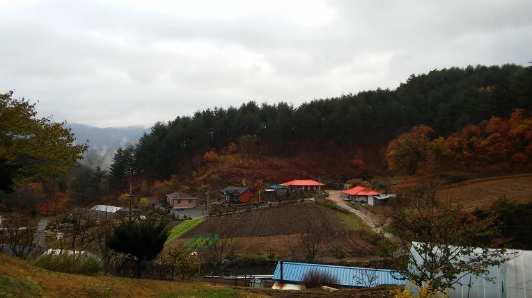 997DF8335A0ED11F1E35C3