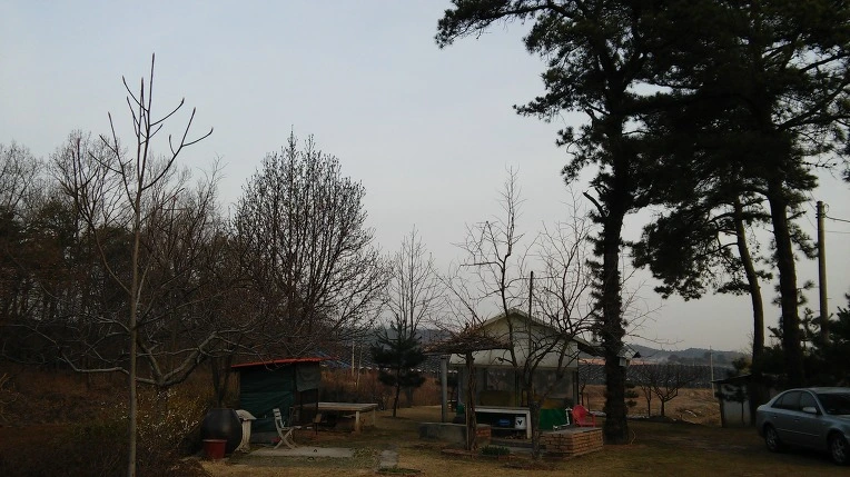 2654964056FC8BF1386821