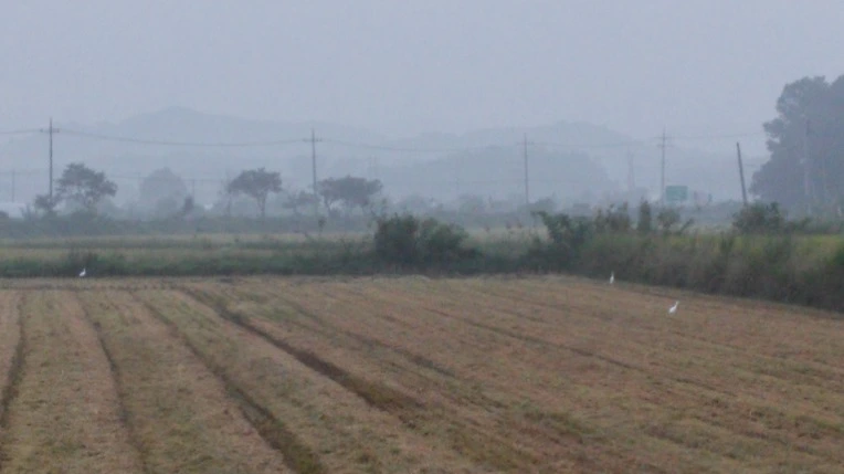 2239F04C57D5E24521C1D7