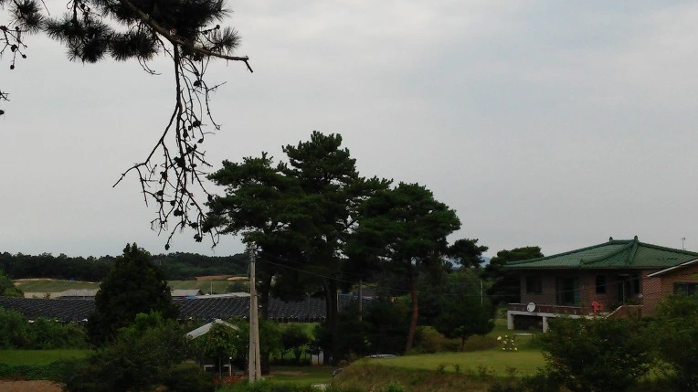 211DD94D57BCEC4638B5B1