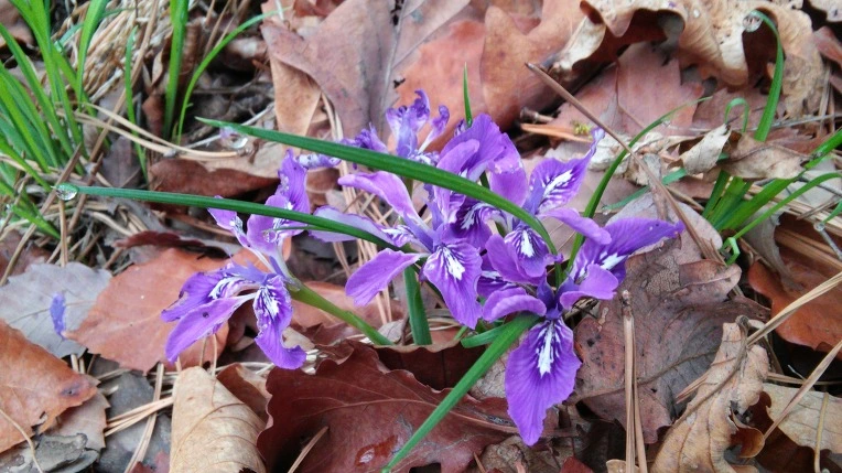 2402B24A571AD1D721F6B6