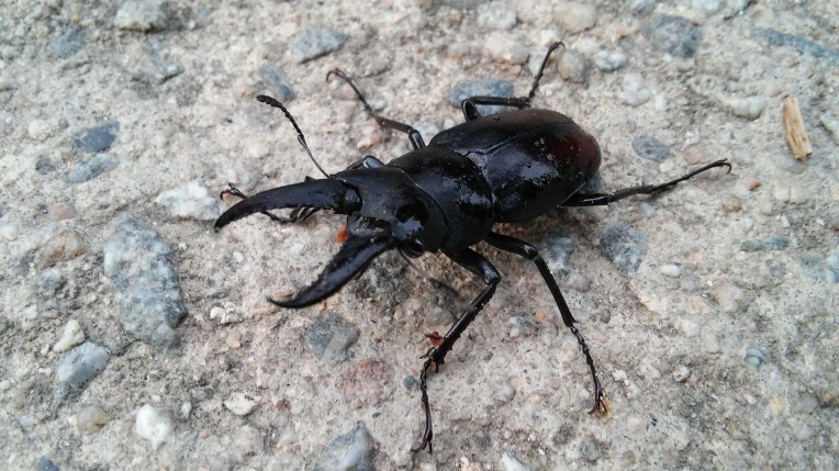 2556DA3E57A19F0501E1C1