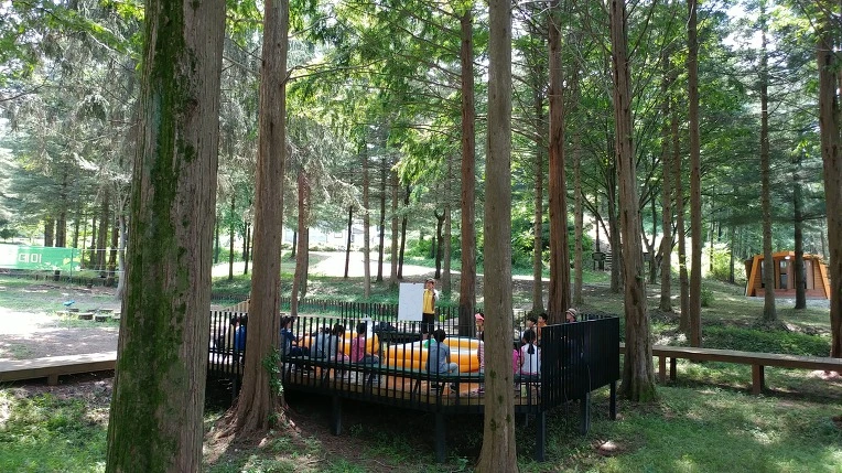 99B5C23D5B57C0EE1E4D13