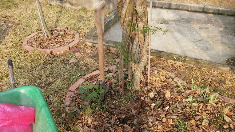 2601903B5827CF46350064