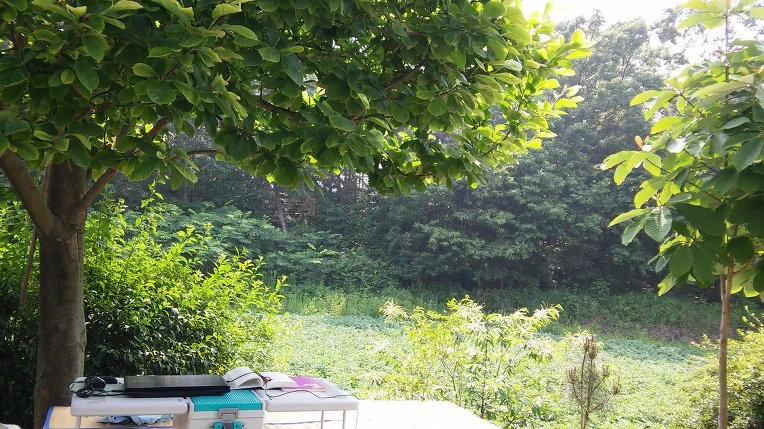 2455F646574D37380544F8