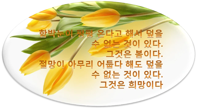 2711223A54C84A2F24A0A0