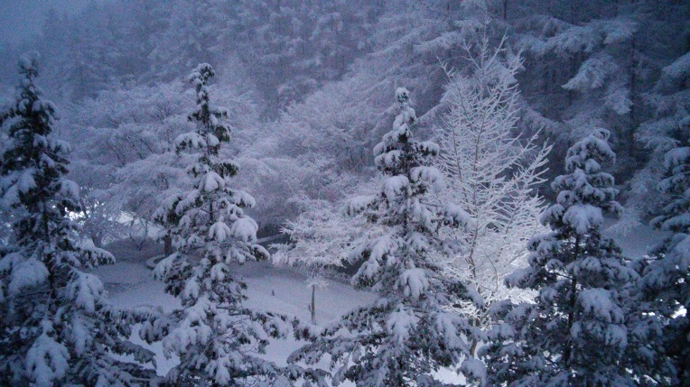 237EA63B565F93CB249533