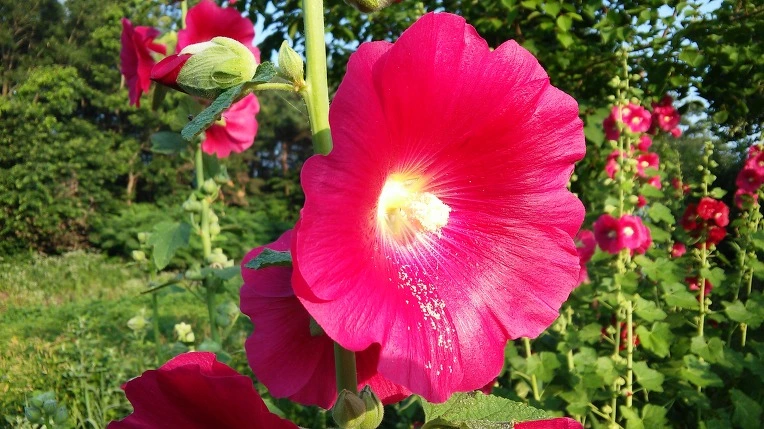 25523047576F806E2D8049