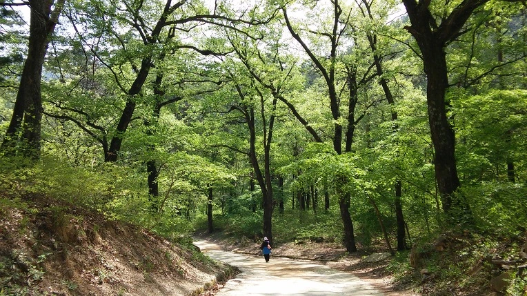 245BFC3D58FFC38913ADE7