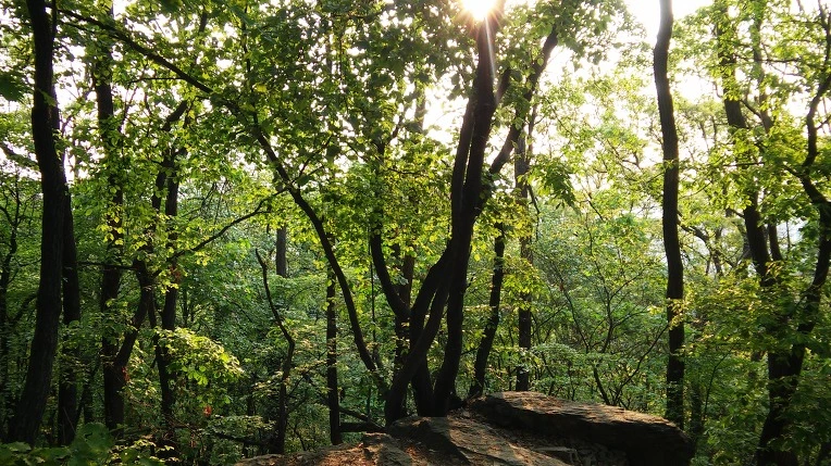 221BA94A5722BCDD2A3B90