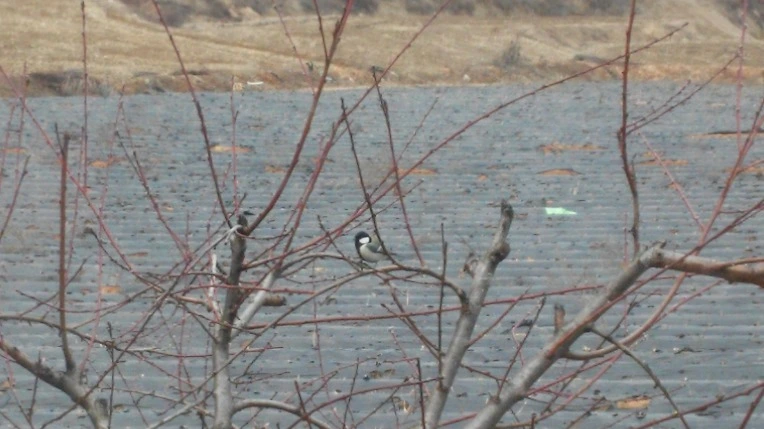 2345754556C6C2112B645E