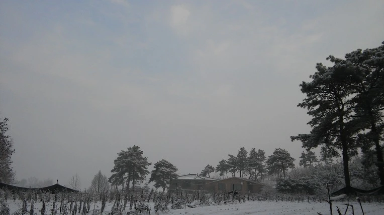 2330374056D10AF72CCA4A