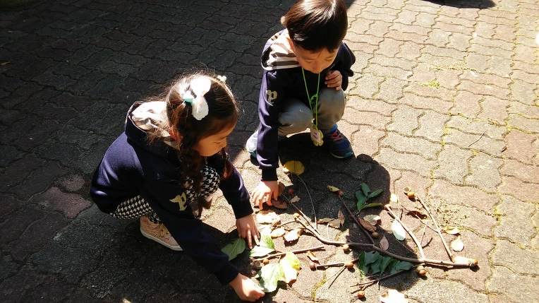 2349703755F8F0160A1F65