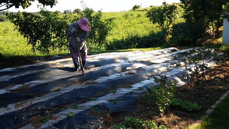 221FD83E57C0EDDD14FC18