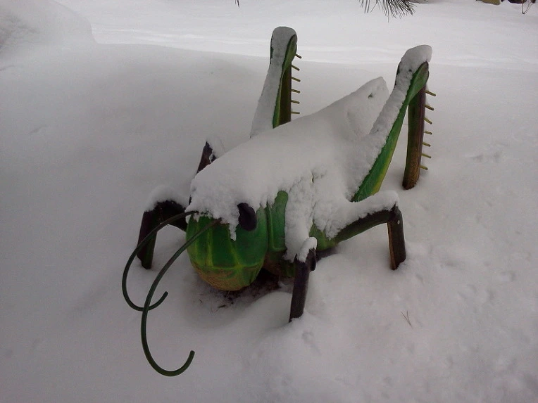 215E1250547F928011EA42