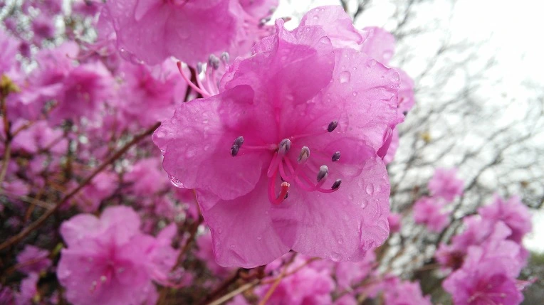 2326615057059CDD29E9BE