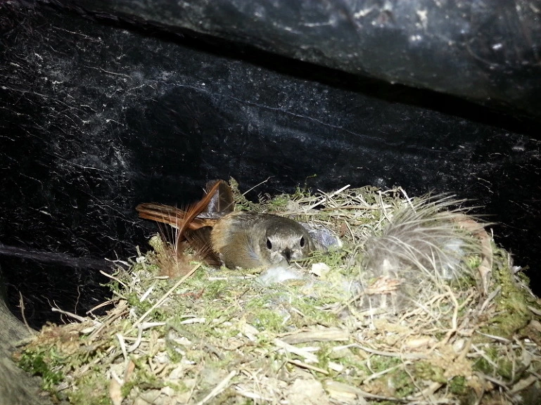 2375EE44541BC04127C5F5