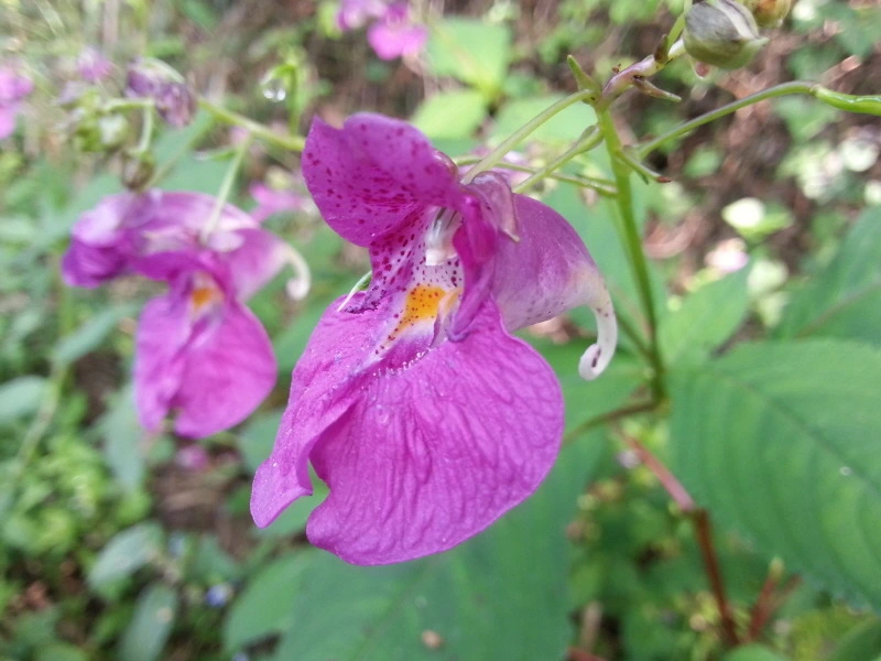 27121741541A946835E8BE