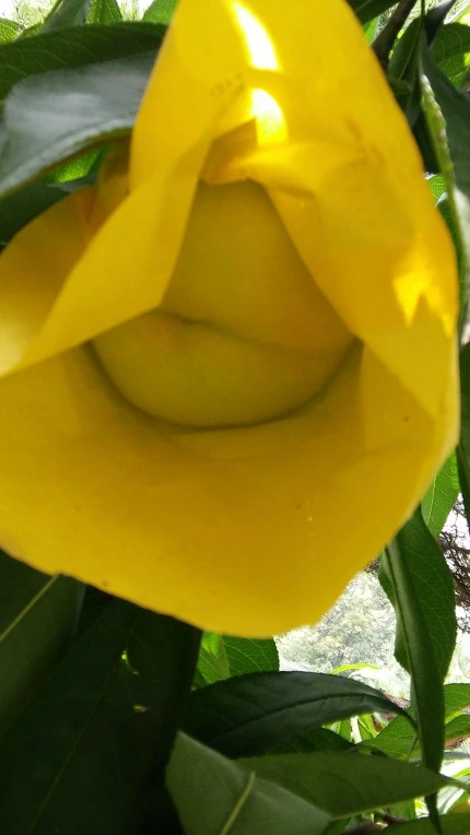 2531D03E5622C08B2127BA