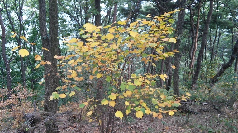 265E123B5615C3120D7243