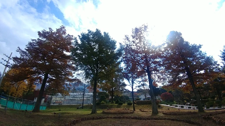 9926213C5BD6AD4C247C67