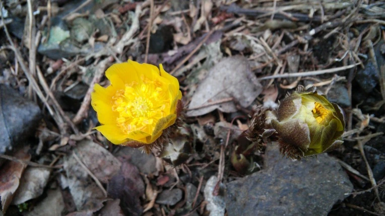 233FC34056D108571CBFAE