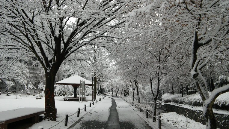 2757AF33565F94462ED98C