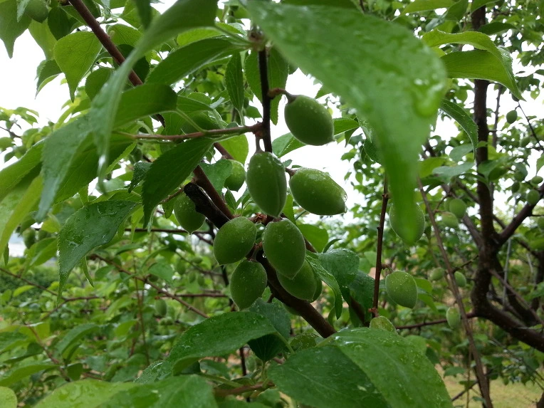 2725BB47536B16E20BD3E8