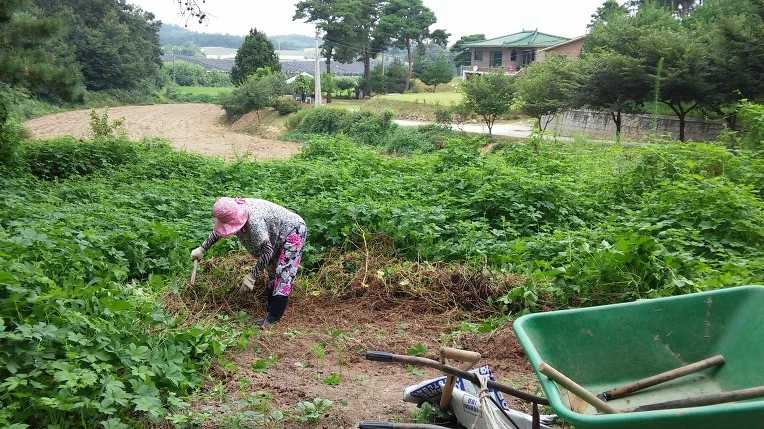 26558F4E57B92EF5165FF5