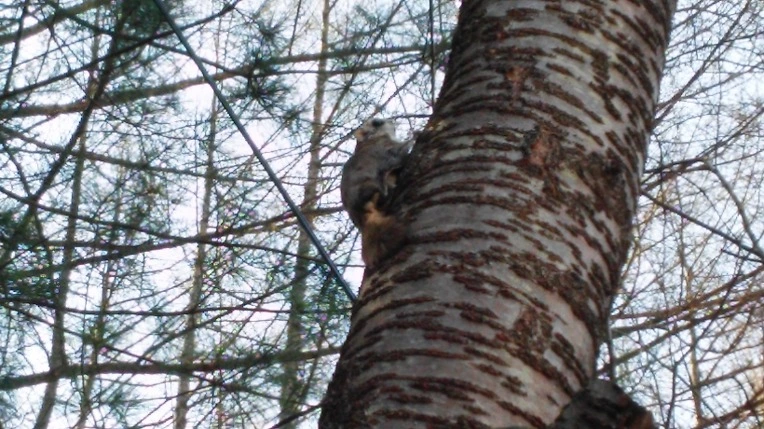 2323693C551F524F010F1B