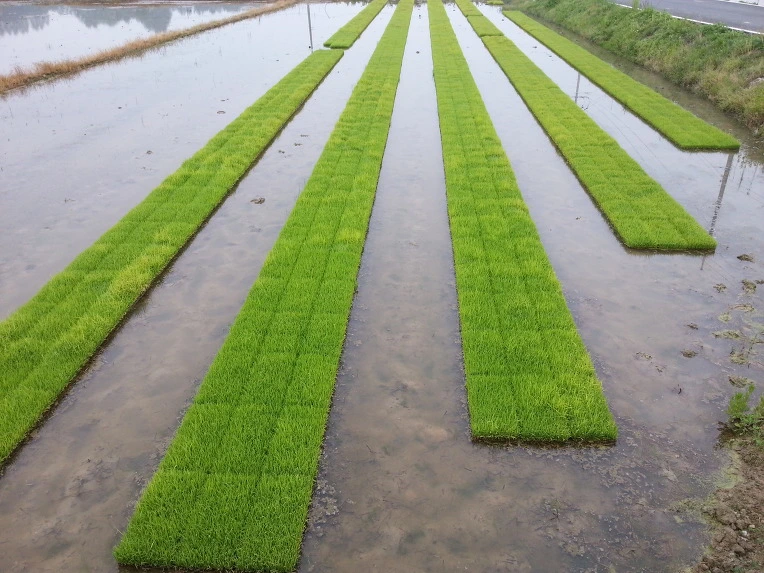 240D3747537498050EF29C