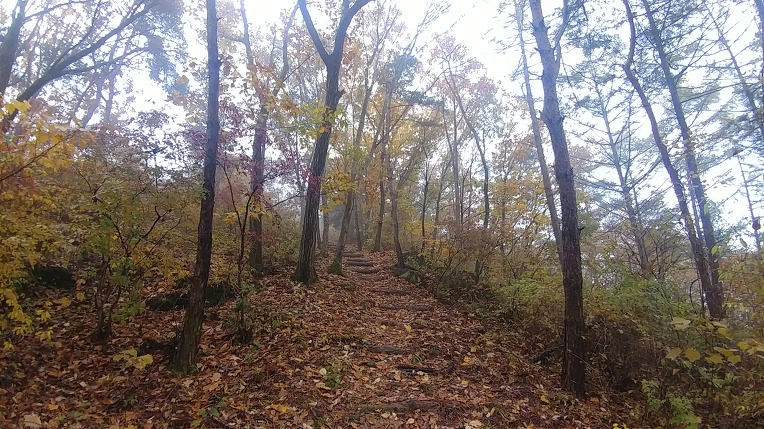 999FFE495BD65E4B383152