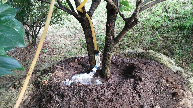 25134F3957D0BA1C032289