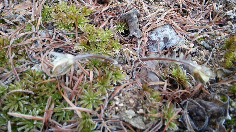 234ED03756F721C9130970