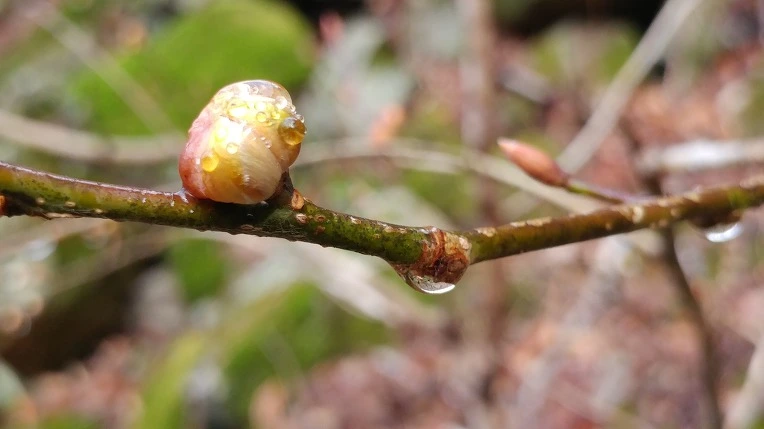 994DA9405EBE1C6B27C866