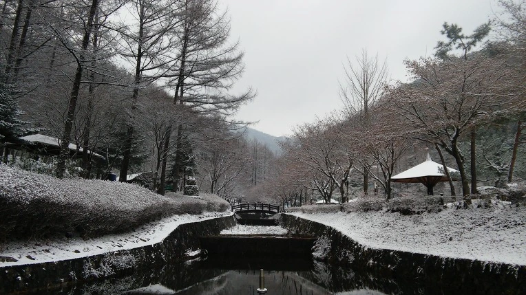 234B77395656A50D0B0619