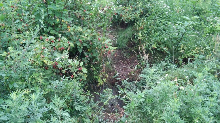 2712D839575E525123F501