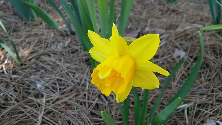 2573B64956FE1C522203F6