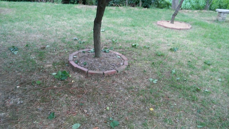 257D6446575617440BEF19