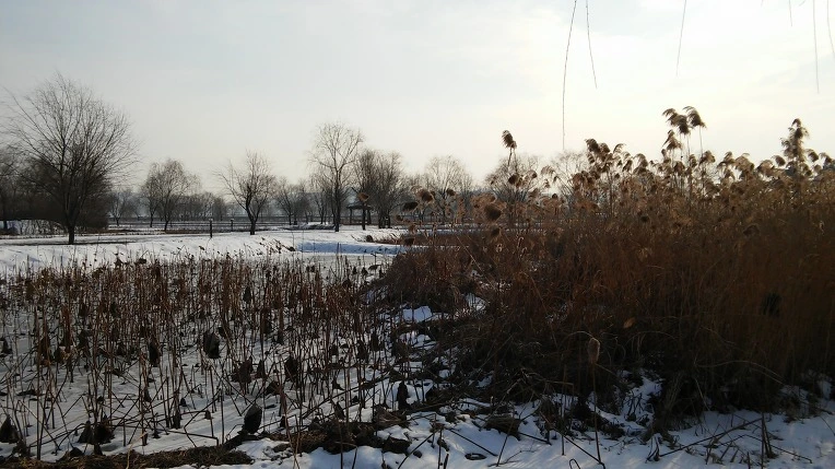 2359534A56A9E9BB1B7E6A