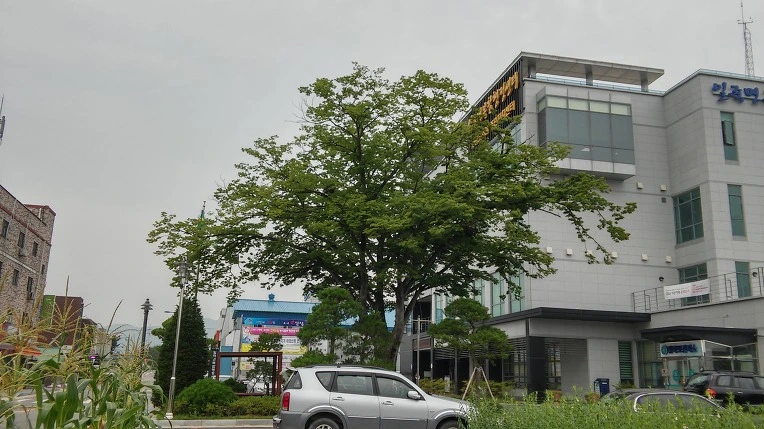 246F99505786BF3639EB4E