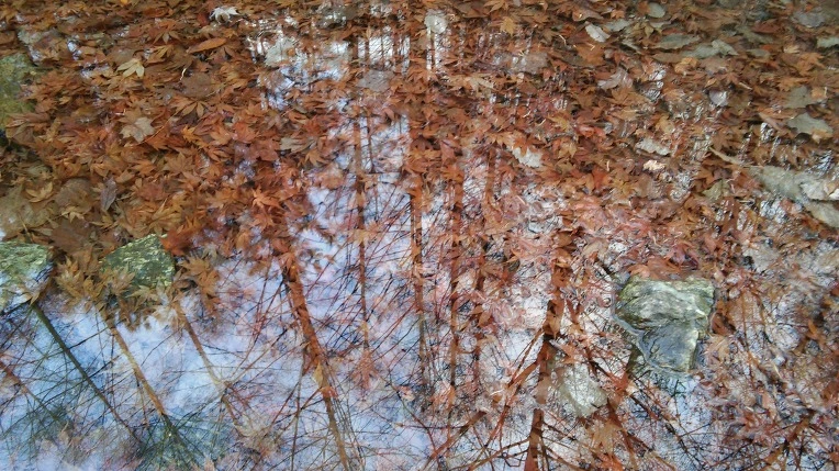 2520E03656720F6F094D94