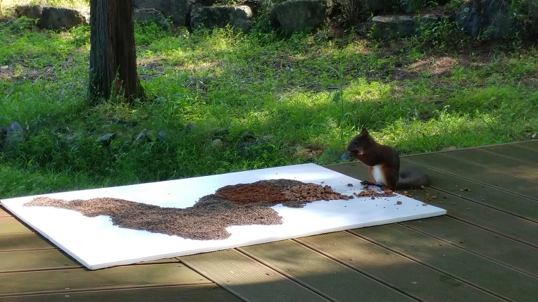 99FD44345B4D8EFE05786C