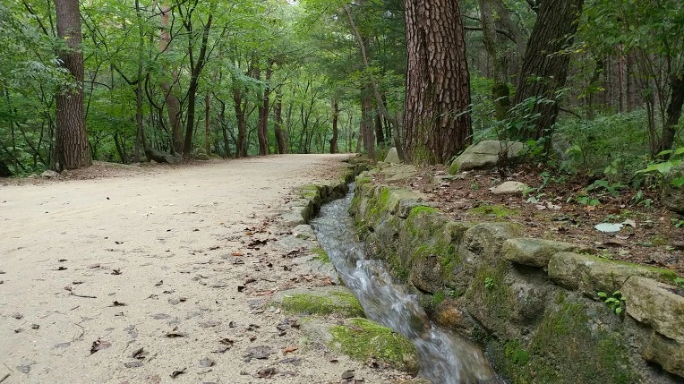 999403485D9ACD820EE28C