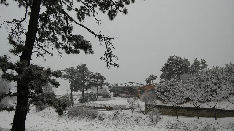 2759783E56D10AE209A1ED