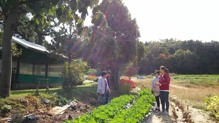 999FF33359D5608F0AD0BF